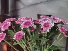 -都氏家DUSJOY(翡翠城店)
