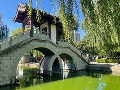 -团结湖公园
