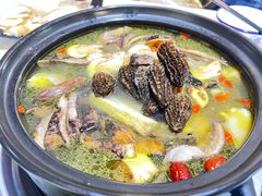 -蘑统田下·野生菌火锅