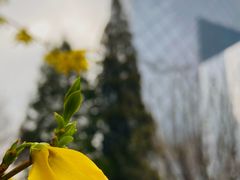 -中央广播电视总台(光华路办公区)