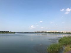 -丁香湖公园