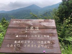 -武陵山森林公园