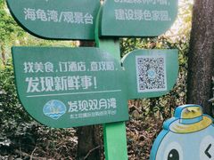 -广东惠东海龟国家级自然保护区