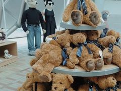 -济州岛泰迪熊博物馆