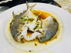 -百丈园龙江啫神馆