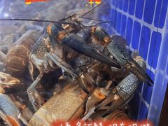 -湘里乡亲甲王二老店