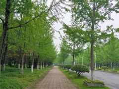 -浙江农林大学(东湖校区)