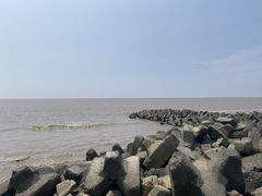 -南汇嘴观海公园