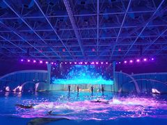 -海合安青岛极地海洋公园