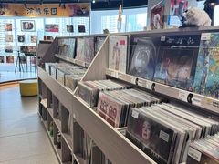 -浣熊唱片店(上海影城店)