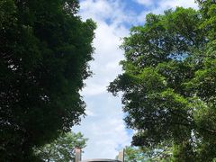 -鼎湖山风景区