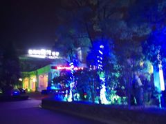 -平湖九龙山庄园圣马可酒店