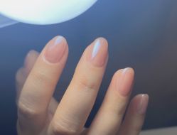 -BELLAREAL新美社