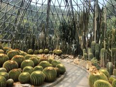 -深圳仙湖植物园