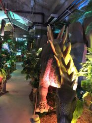 点击看大图 -恐龙探索乐园(磁器口店)