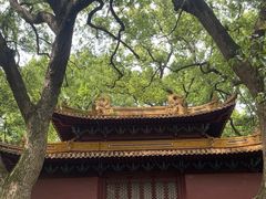 -普陀山风景名胜区-法雨禅寺
