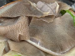 鲜毛肚-陈眼镜火锅(总店)