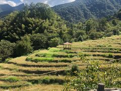 -祁门牯牛降观音堂风景区
