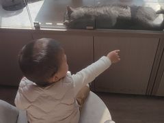 -宁波九龙湖开元度假村