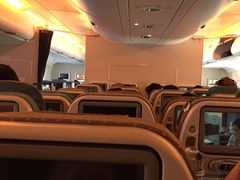 -新加坡航空公司(ION)