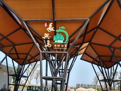 -上海长兴岛郊野公园