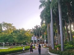 -金砂公园