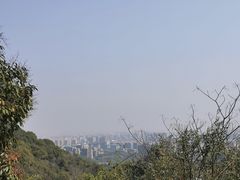 -杭州半山国家森林公园