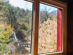 -老张烤羊(王哥庄店)