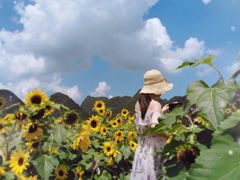 -云漫湖生态度假公园