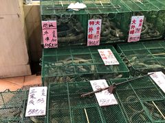 水产区-荔城生鲜盛宴(番禺旗舰店)