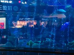 -成都浩海立方海洋公园