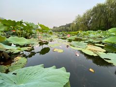 -WhaleSports户外水上运动俱乐部(朝阳公园店)