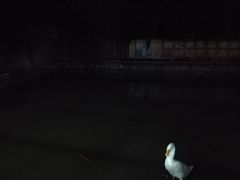 -润记农家菜