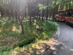 -同里国家湿地公园