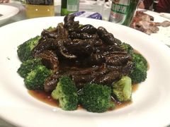 -上海雅居乐万豪侯爵酒店