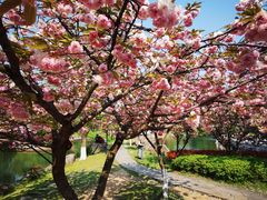 -白马涧龙池景区