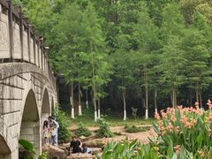 -重庆彩云湖湿地公园