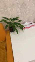 -Cocodemer女性健康·产后恢复(天一广场店)