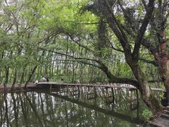 -西溪南古村落