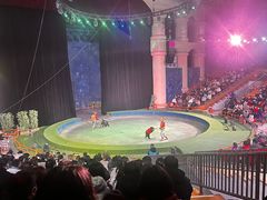 -南京金牛湖风景区