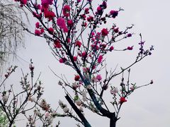 -渤公岛生态公园