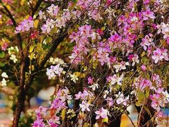 -广东工业大学(大学城校区)