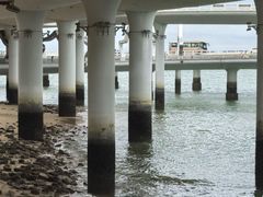 -演武大桥观景平台