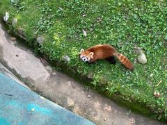 -西安秦岭野生动物园