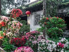 -惠山古镇·寄畅园