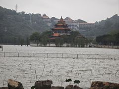 -顺峰山公园