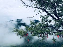 -硗碛藏寨·神木垒景区