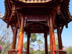 -攀枝花公园