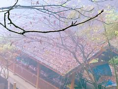 -藏龙百瀑风景区