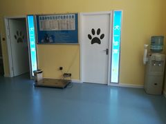 -瑞鹏宠物医院·爱宠堂·骨外专科(西荷分院)